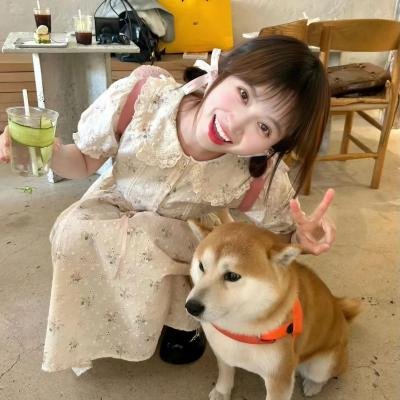 大湾区旅行者